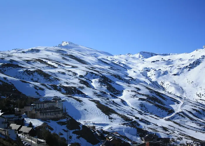 Violeta * Granada